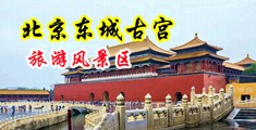 美女艹的网站中国北京-东城古宫旅游风景区